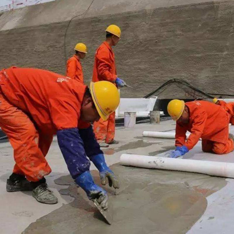 中国高分子防水卷材行业未来市场发展的潜力预测及投资价值评估分析报告